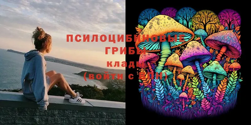 Галлюциногенные грибы Magic Shrooms Фролово